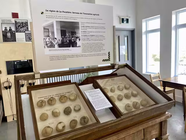 Pomme de terre - exposition&nbsp;&nbsp;&nbsp;&copy; Musée québécois de l'agriculture et de l'alimentation