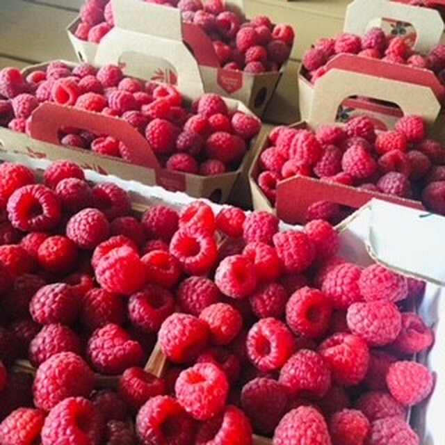 Framboises&nbsp;&nbsp;&nbsp;&copy; La Fruiterie champêtre inc.