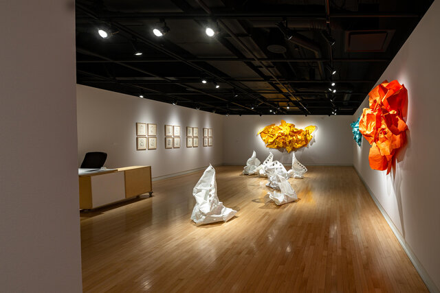 Exposition de Sébastien Gaudette&nbsp;&nbsp;&nbsp;&copy; Eric Massicotte