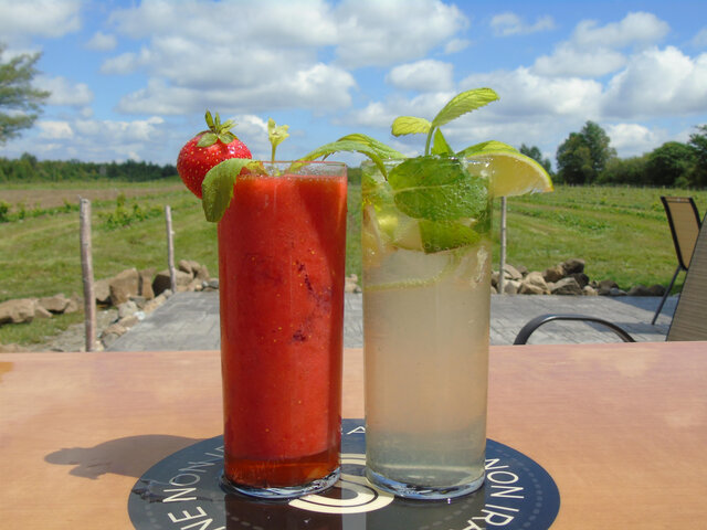 Terrasse au vignoble&nbsp;&nbsp;&nbsp;&copy; Domaine Small