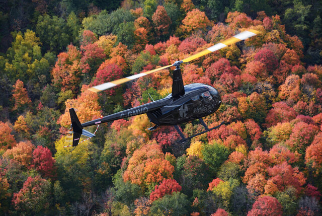 R44 - Couleur&nbsp;&nbsp;&nbsp;&copy; Helicraft