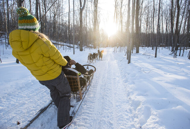 Traîneau à chiens au soleil, Laurentides&nbsp;&nbsp;&nbsp;&copy; Aventures plein air Saint-Hippolyte
