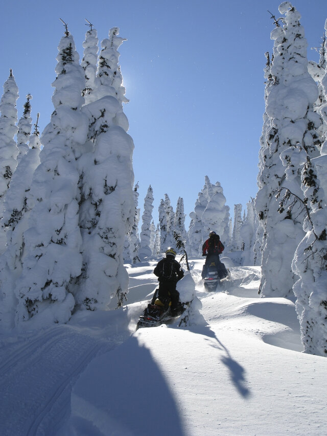 Authentik Canada&nbsp;&nbsp;&nbsp;&copy; Authentik Canada /Istockphoto