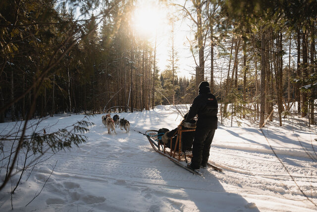 Traineau à chiens&nbsp;&nbsp;&nbsp;&copy; Lac-à-l'Eau-Claire