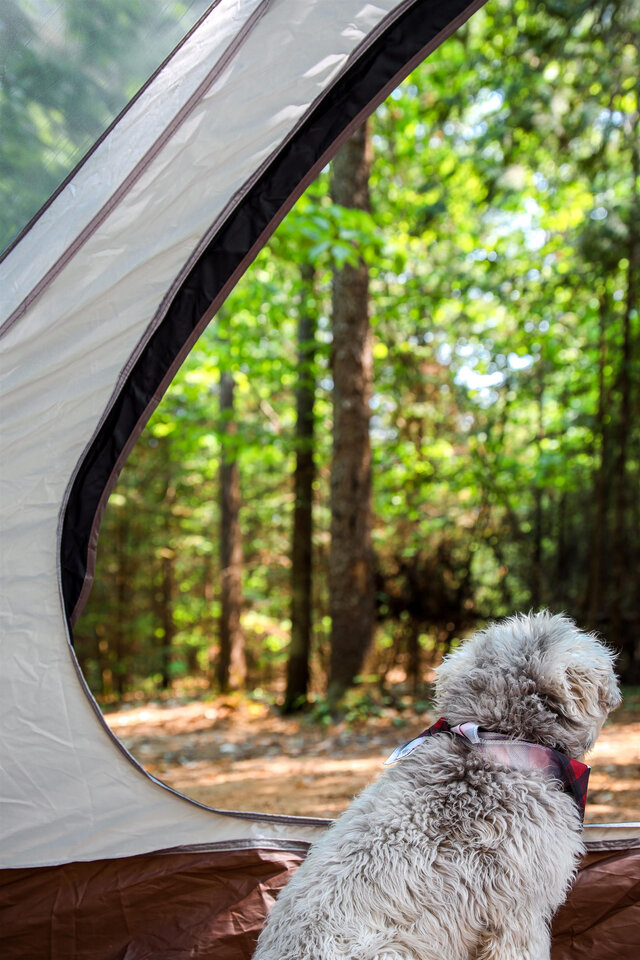 Chalets lanaudière - Camping&nbsp;&nbsp;&nbsp;&copy; Chalets Lanaudière