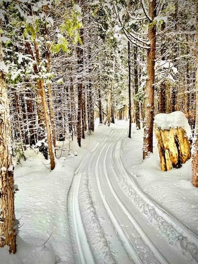 Ski de fond, Gaspésie&nbsp;&nbsp;&nbsp;&copy; J. LeBreux