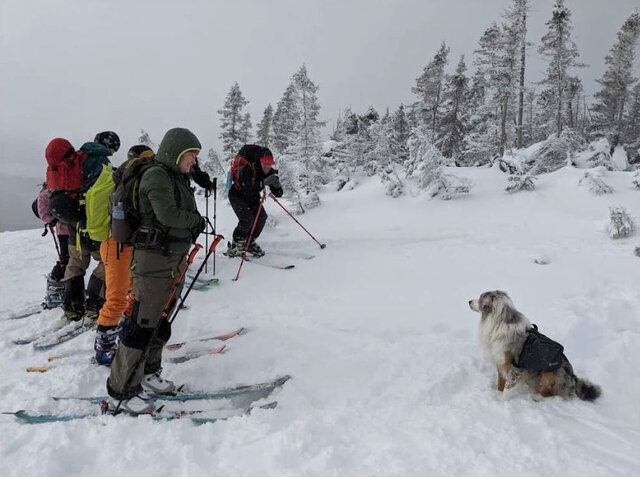 Skieurs en bonne compagnie&nbsp;&nbsp;&nbsp;&copy; Cap Vers l'Est