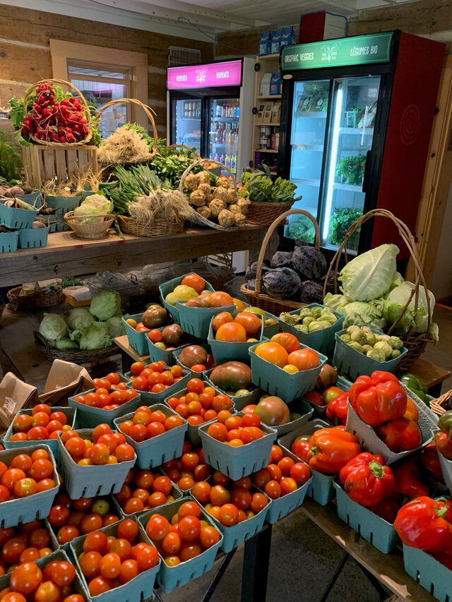 Ferme Juniper Farm&nbsp;&nbsp;&nbsp;&copy; Ferme Juniper Farm