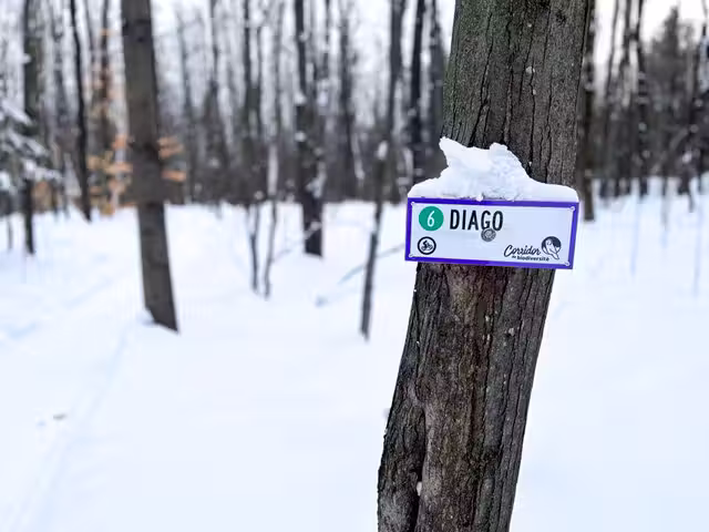 GPAT - Fatbike - Le Québec à vélo&nbsp;&nbsp;&nbsp;&copy; GPAT