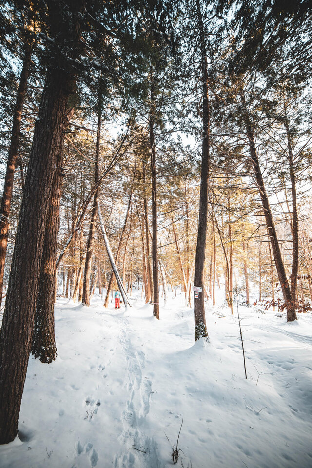 Sentier de raquette&nbsp;&nbsp;&nbsp;&copy; Tourisme Outaouais/J.Samson photographie
