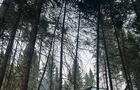Camping Montagne Berryman&nbsp;&nbsp;&nbsp;&copy; Stéphanie Gareau