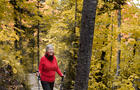 La Chute en automne&nbsp;&nbsp;&nbsp;&copy; G.Carié Riffon