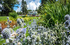 Domaine Mackenzie-King fleurs&nbsp;&nbsp;&nbsp;&copy; Commission de la capitale nationale