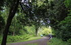Sentier nature&nbsp;&nbsp;&nbsp;&copy; Parcs Canada