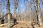 Vieille cabane