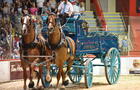 Attelage de chevaux&nbsp;&nbsp;&nbsp;&copy; P.Deslandes