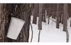 Chaudière&nbsp;&nbsp;&nbsp;&copy; Cabane Osias