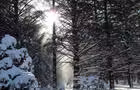 Arboretum Morgan&nbsp;&nbsp;&nbsp;&copy; Arboretum Morgan, A.Devost