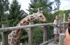 Zoo de Granby&nbsp;&nbsp;&nbsp;&copy; Zoo de Granby