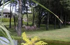Zoo de Granby&nbsp;&nbsp;&nbsp;&copy; Zoo de Granby