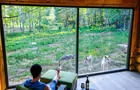Cabane des loups&nbsp;&nbsp;&nbsp;&copy; Parc Oméga
