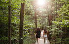 Promenade en fôret&nbsp;&nbsp;&nbsp;&copy; Tourisme Montérégie