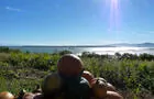 Citrouilles et fleuve