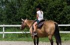 Cours d'équitation western&nbsp;&nbsp;&nbsp;&copy; Ranch Winslow