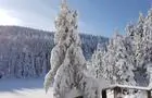 Saison hivernale au lac Spruce&nbsp;&nbsp;&nbsp;&copy; Parc d'environnement naturel de Sutton