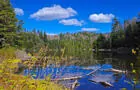 Le Mud Pond&nbsp;&nbsp;&nbsp;&copy; M.Ducharme