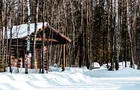 L'hiver au parc&nbsp;&nbsp;&nbsp;&copy; S.Jubinville