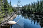 Rivière Doncaster&nbsp;&nbsp;&nbsp;&copy; A.Chevrier