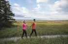 Le plus grand marais salé de la Côte-Nord&nbsp;&nbsp;&nbsp;&copy; Geneviève Rioux-Savard