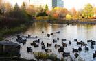 Un magnifique parc au coeur de la ville&nbsp;&nbsp;&nbsp;&copy; D.Filteau