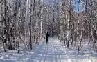 Forêt enneigée&nbsp;&nbsp;&nbsp;&copy; A.Giguère