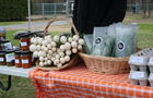 Légumes