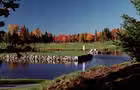 Vue automnale&nbsp;&nbsp;&nbsp;&copy; Club de Golf des Bois-Francs
