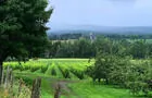 Vignoble Domaine ValBrome