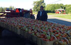 Tomates