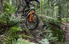 vélo de montagne
