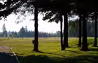 Allée vers trou no 1