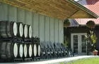 Vignoble