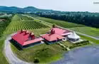 Vue d'ensemble du vignoble&nbsp;&nbsp;&nbsp;&copy; Domaine de Lavoie