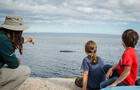 Observation des baleines&nbsp;&nbsp;&nbsp;&copy; Parcs Canada/M-I. Rochon