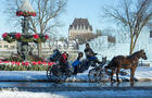 Calèches Québec en hiver