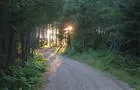 Sentiers en forêt