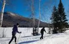 Ski de fond