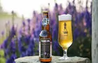 Trans IPA&nbsp;&nbsp;&nbsp;&copy; E.Roberge