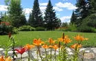 Lys au Jardin en rocaille&nbsp;&nbsp;&nbsp;&copy; A.Dupis