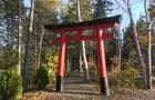 Torii au Jardin japonais&nbsp;&nbsp;&nbsp;&copy; JCRBJ
